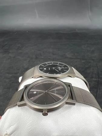Skagen Titanium Watches made in Denmark Models 103LTTN/233XLTT