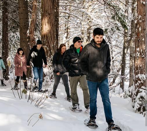 Snowshoes (4 sets) ranging from 120lbs to 165lbs