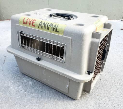 Hard Pet Carrier