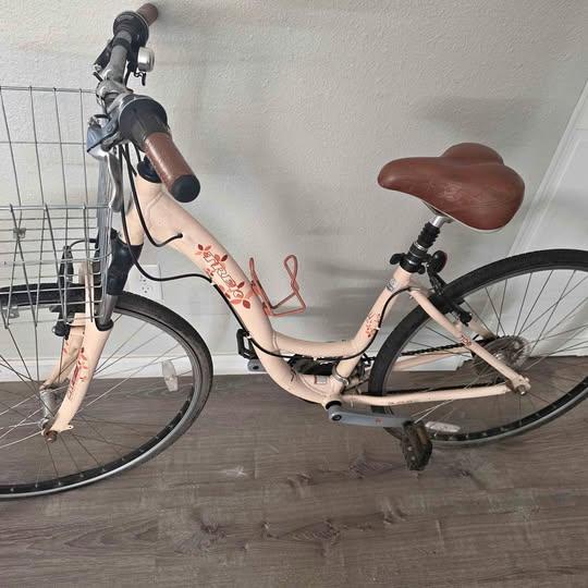 Trek 7100 WSD bike